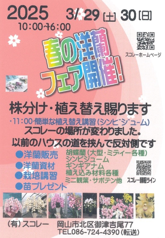 �t�̗m���t�F�A