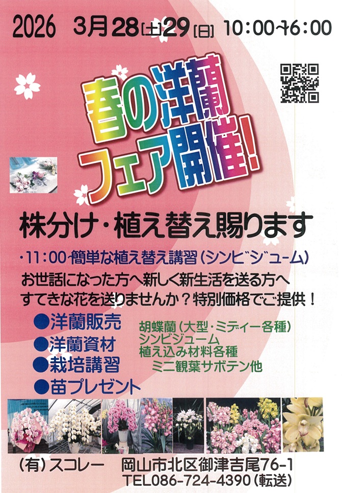 �t�̗m���t�F�A